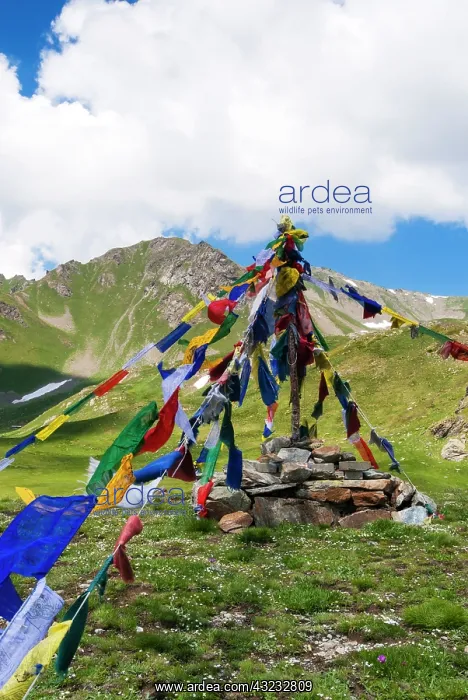 : Buddhist stupa, Mont Fallere, Aosta Valley : Buddhist stupa, Mont Fallere, Aosta Valley