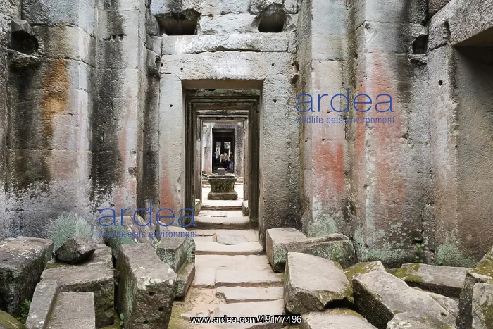 : Buddhist temple buildings, jungle temples : Buddhist temple buildings, jungle temples