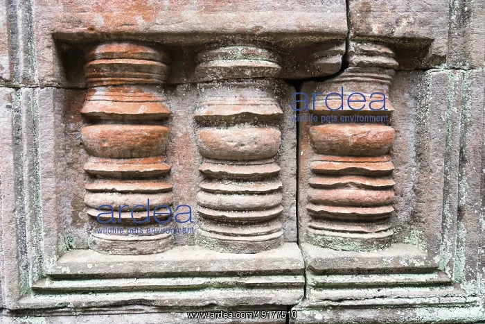 : Buddhist temple buildings, jungle temples : Buddhist temple buildings, jungle temples