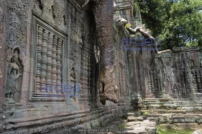 : Buddhist temple buildings, jungle temples : Buddhist temple buildings, jungle temples