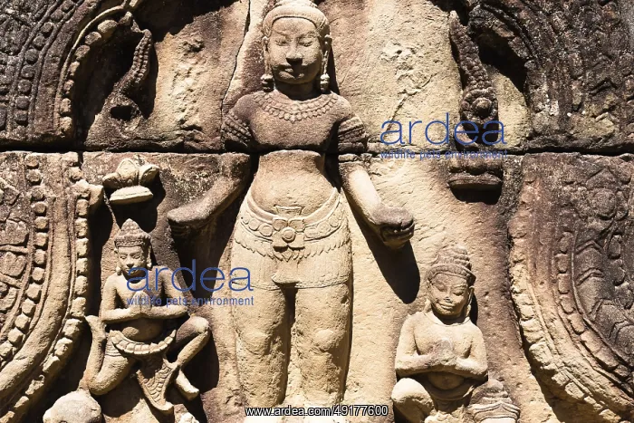 : Buddhist temple buildings, jungle temples : Buddhist temple buildings, jungle temples