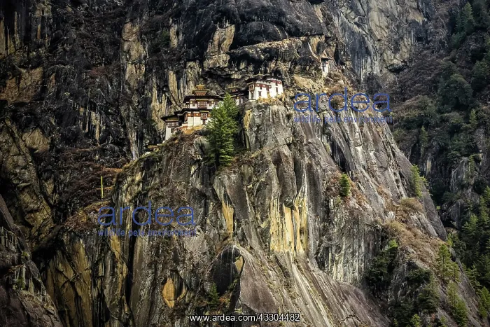 : Buddhist tiger nest monastery Taktshang on steep : Buddhist tiger nest monastery Taktshang on steep