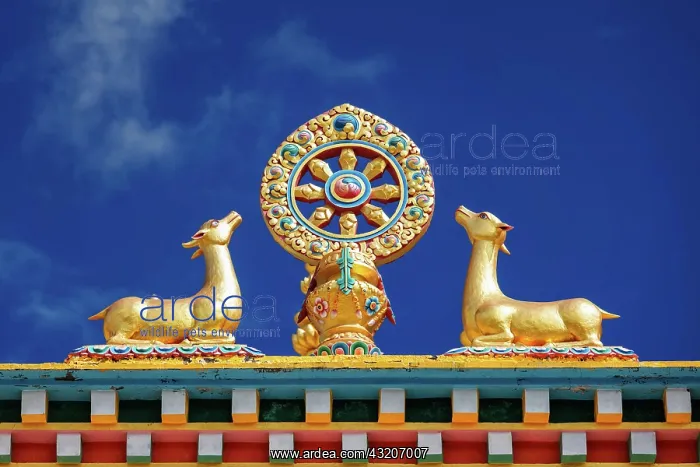 : Buddhist Wheel of the Law, Kaza Monastery. Kaza : Buddhist Wheel of the Law, Kaza Monastery. Kaza
