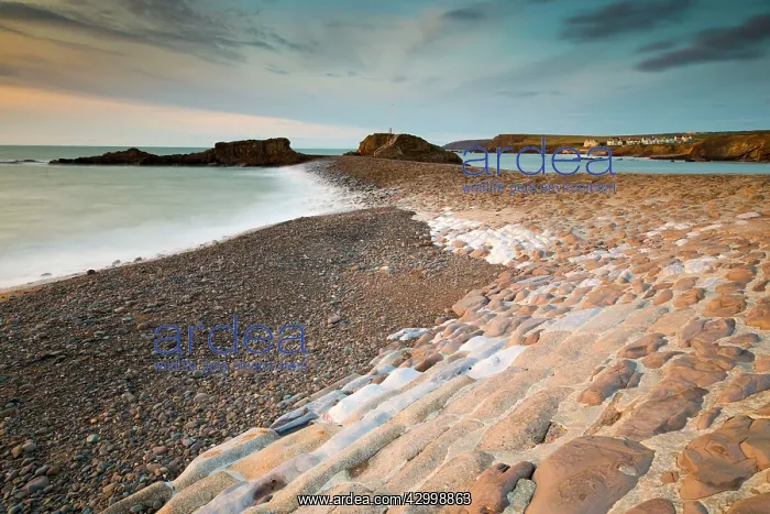 : Bude - Beach and Sea Wall : Bude - Beach and Sea Wall
