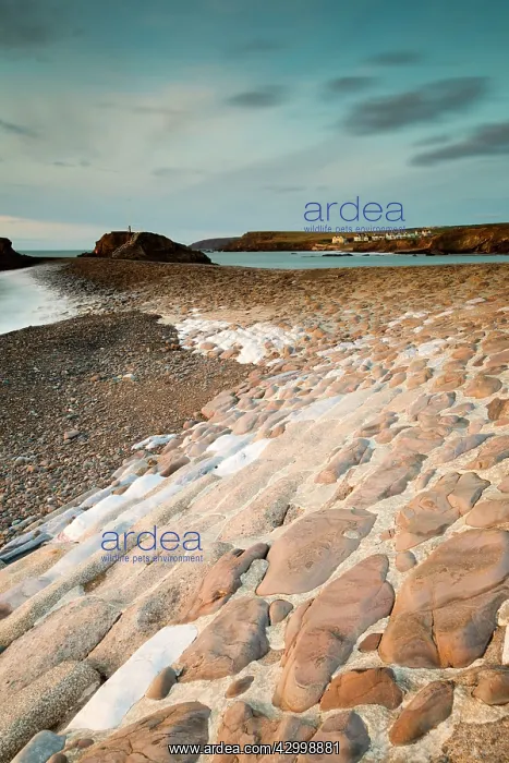 : Bude - Beach and Sea Wall : Bude - Beach and Sea Wall