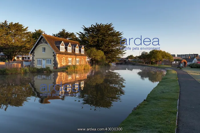  : Bude Canal - Early Morning - Cornwall - UK