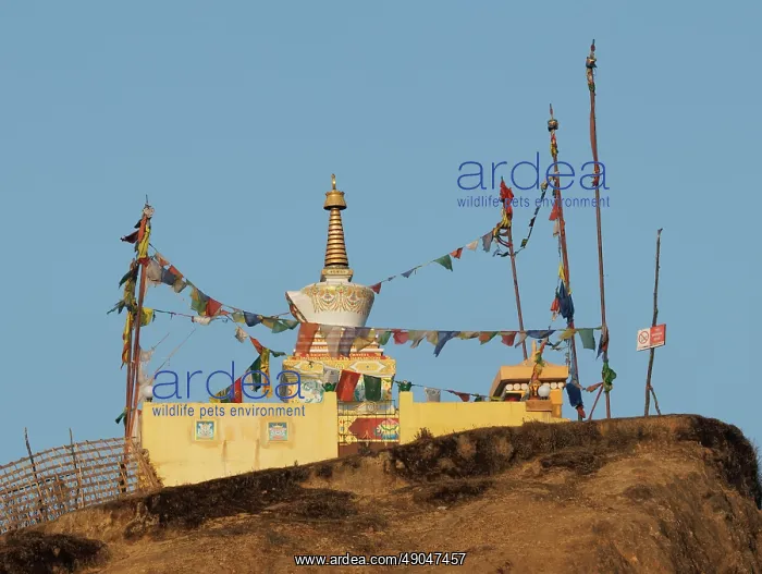 : Budhist temple in Tumling, Nepal : Budhist temple in Tumling, Nepal