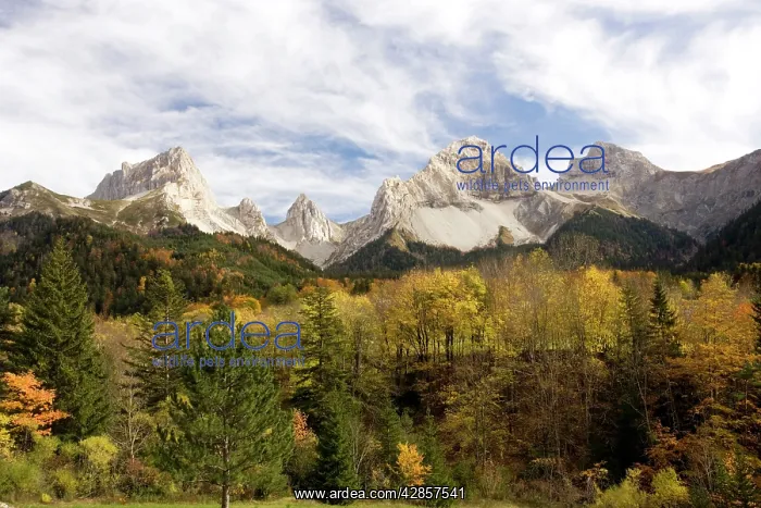: The Buech valley, Vercors mountains : The Buech valley, Vercors mountains