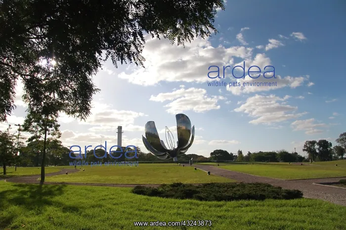 : Buenos Aires, Argentina. This 10 meter tall : Buenos Aires, Argentina. This 10 meter tall