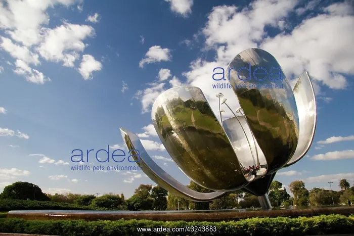 : Buenos Aires, Argentina. This 10 meter tall : Buenos Aires, Argentina. This 10 meter tall