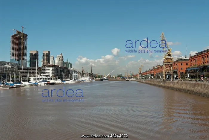 : Buenos Aires, Argentina. Puerto Madero riverfront : Buenos Aires, Argentina. Puerto Madero riverfront