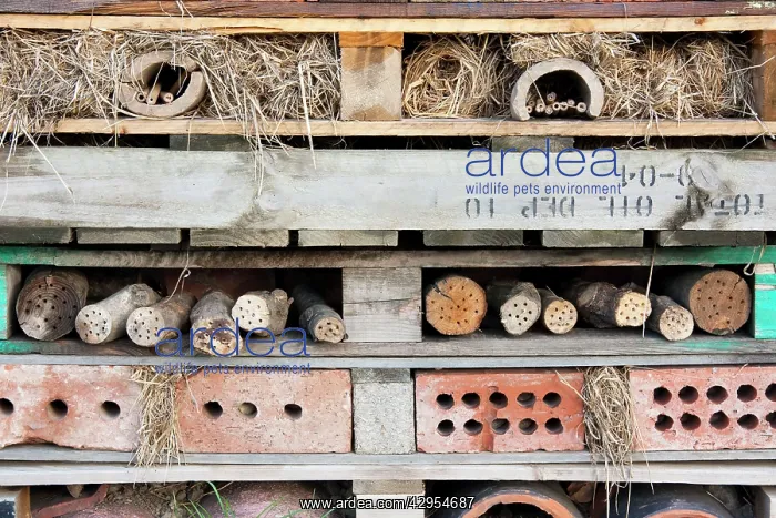 : Bug box - elaborate hibernaculum for insects : Bug box - elaborate hibernaculum for insects