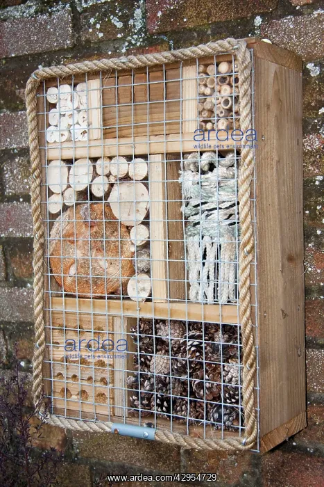 : Bug box - wall mounted hibernaculum for insects and bugs : Bug box - wall mounted hibernaculum for insects and bugs