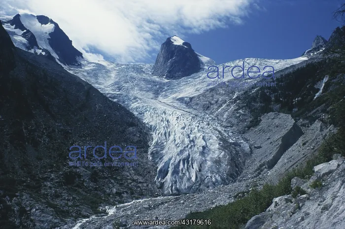 : Bugaboo Glacier, Canada : Bugaboo Glacier, Canada