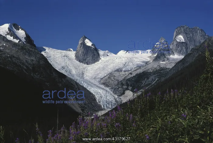 : Bugaboo Glacier, Canada : Bugaboo Glacier, Canada
