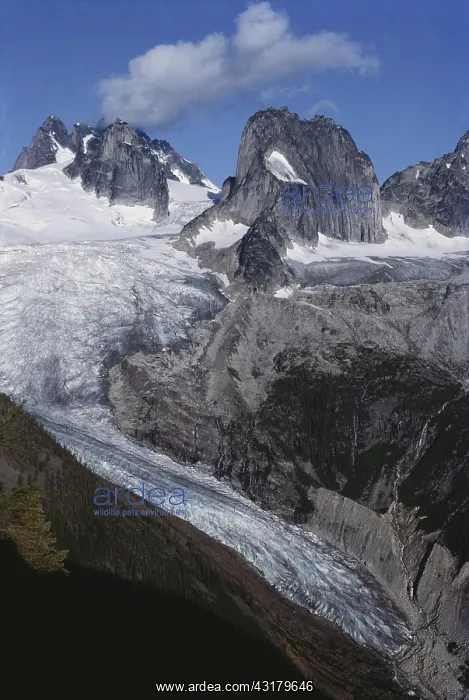: Bugaboo Provincial Park, Canada : Bugaboo Provincial Park, Canada