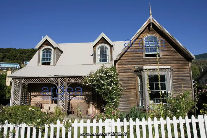 : Building - Attractive old timber cottage : Building - Attractive old timber cottage