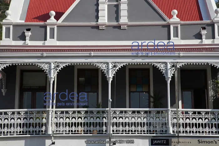: Building detail in Simon's Town, Western : Building detail in Simon's Town, Western