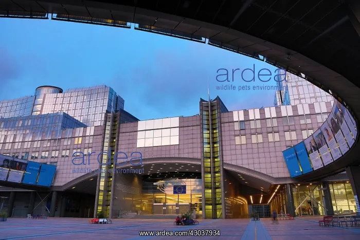: Buildings of the European Parliament Complex at : Buildings of the European Parliament Complex at