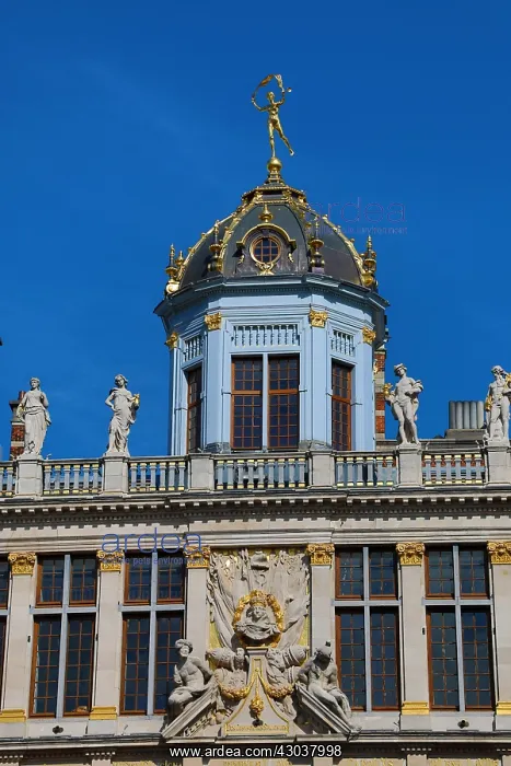 : Buildings in the Grand Place or Grote Markt, Brussels : Buildings in the Grand Place or Grote Markt, Brussels