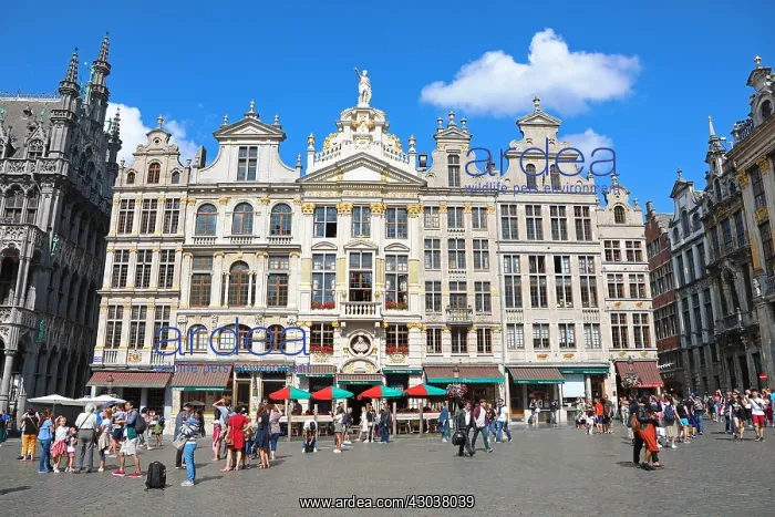 : Buildings in the Grand Place or Grote Markt, Brussels : Buildings in the Grand Place or Grote Markt, Brussels