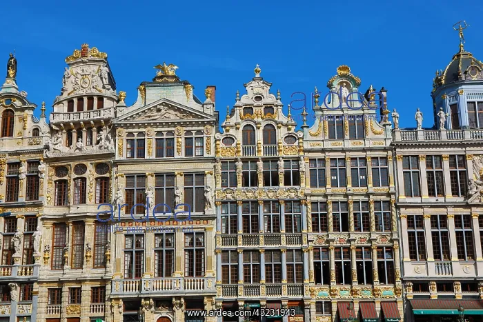 : Buildings in the Grand Place or Grote Markt, Brussels : Buildings in the Grand Place or Grote Markt, Brussels