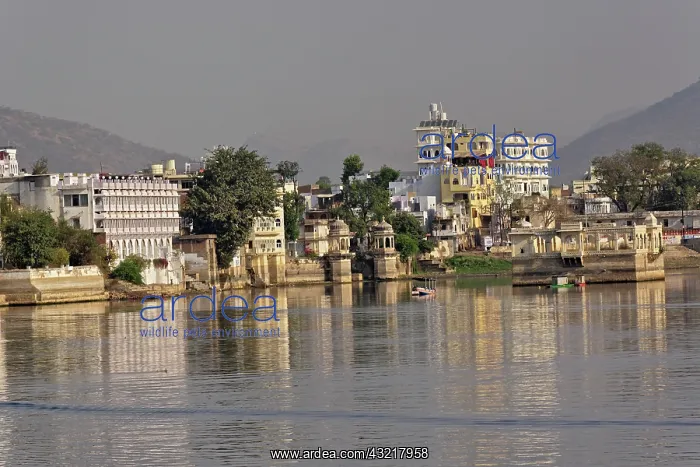 : Buildings and palace hotels along shoreline : Buildings and palace hotels along shoreline