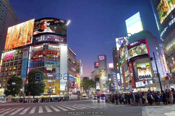 : Buildings around the Shibuya Scramble Crossing at sunset in : Buildings around the Shibuya Scramble Crossing at sunset in