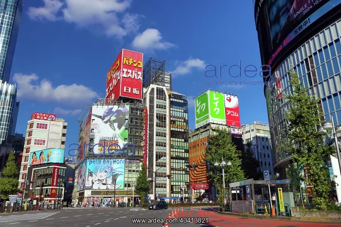 : Buildings along the skyline of Kabukicho in Shinjuku, Tokyo : Buildings along the skyline of Kabukicho in Shinjuku, Tokyo