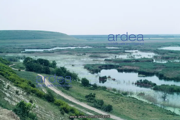 : BULGARIA - Sreburna Lake Reserve