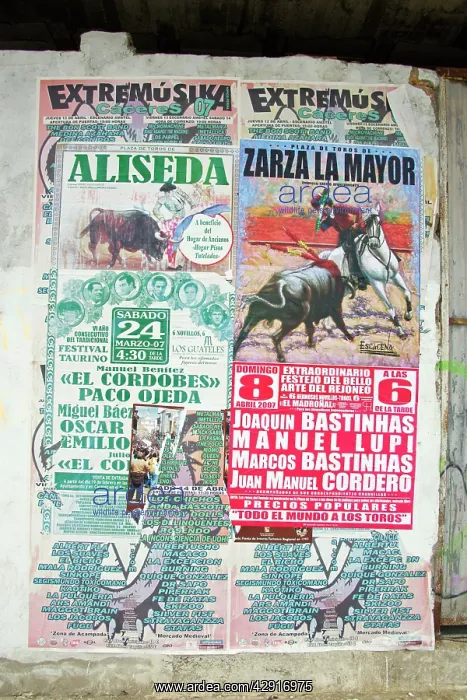 : Bull Fighting Posters : Bull Fighting Posters