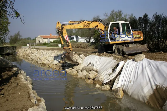: Bulldozer making alterations - cleaning of a stream : Bulldozer making alterations - cleaning of a stream