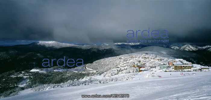 : Buller Village Alpine Resort under dark storm clouds.from : Buller Village Alpine Resort under dark storm clouds.from