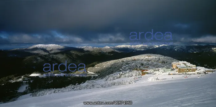 : Buller Village Ski Resort : Buller Village Ski Resort
