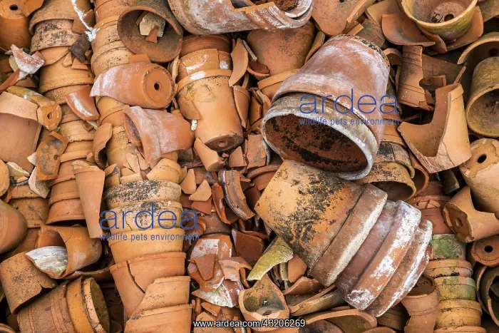 : Bunch of broken terracotta pots, spring, Pas de : Bunch of broken terracotta pots, spring, Pas de
