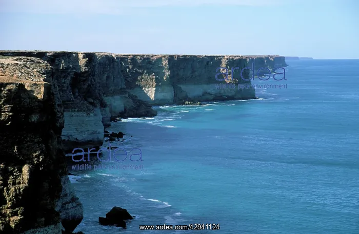 : Bunda Cliffs.head of the bight. Nullarbor Plain : Bunda Cliffs.head of the bight. Nullarbor Plain