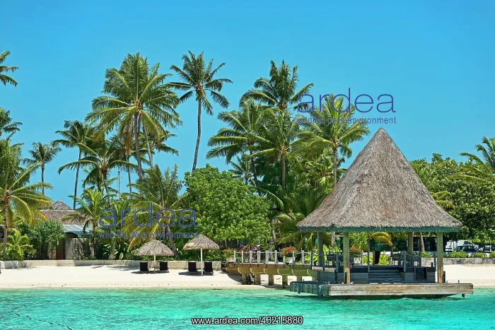 : Bungalow on the beach, Bora Bora, French Polynesia : Bungalow on the beach, Bora Bora, French Polynesia