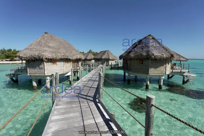  : Bungalows, water bungalows at the pier in lagoon