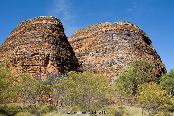 : Bungle Bungle rock formations - Purnululu National Park : Bungle Bungle rock formations - Purnululu National Park