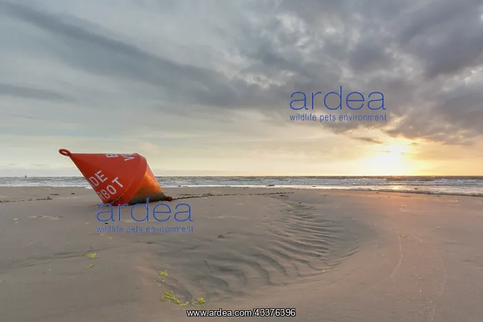 : Buoy in the evening in the mudflats - Wadden Sea : Buoy in the evening in the mudflats - Wadden Sea