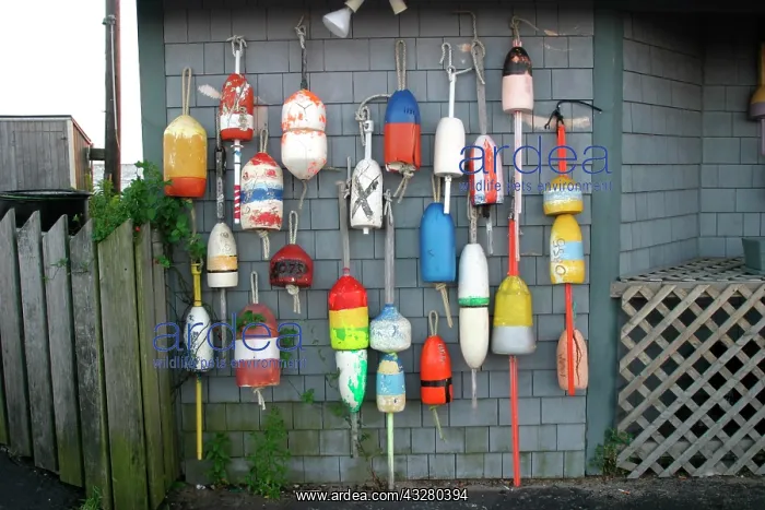 : Buoys on a wall in Provincetown, Cape Cod : Buoys on a wall in Provincetown, Cape Cod