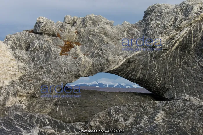 : Burgabukta Rock Burgabukta, Hornsund, Svalbard, Norway : Burgabukta Rock Burgabukta, Hornsund, Svalbard, Norway