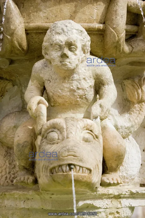 : Burgos Cathedral, Northern Spain : Burgos Cathedral, Northern Spain