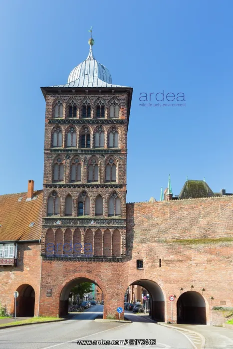 : Burgtor ~ Hanseatic town Luebeck ~ Germany : Burgtor ~ Hanseatic town Luebeck ~ Germany