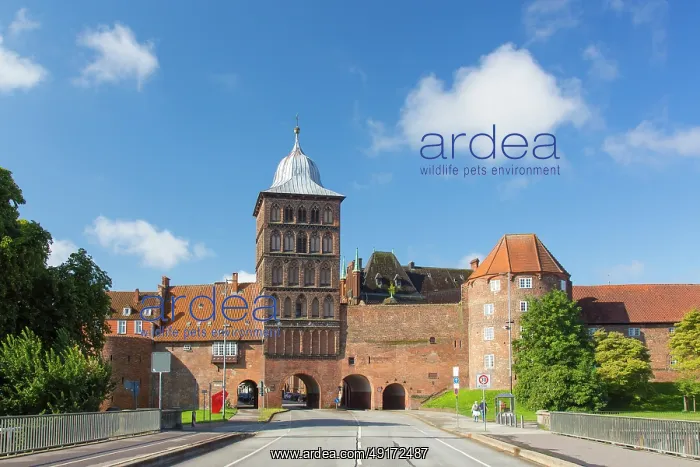 : Burgtor ~ Hanseatic town Luebeck ~ Germany : Burgtor ~ Hanseatic town Luebeck ~ Germany