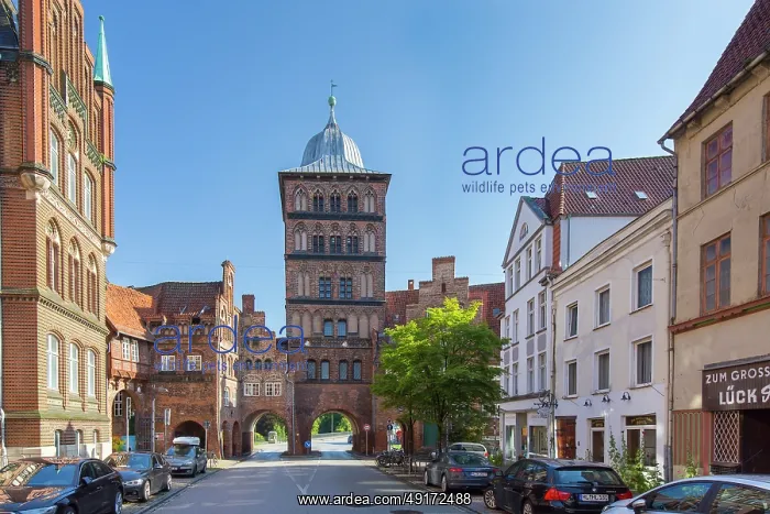 : Burgtor ~ Hanseatic town Luebeck ~ Germany : Burgtor ~ Hanseatic town Luebeck ~ Germany