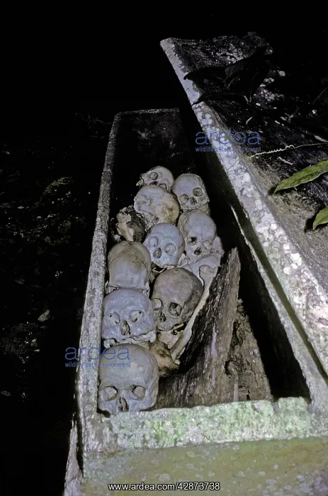  : In one of the burial caves in Toradja Land in the