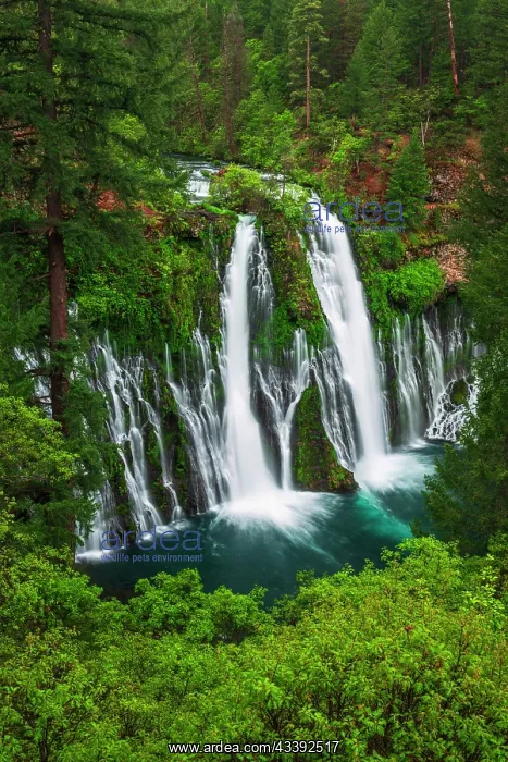 : Burney Falls, McArthur-Burney Falls Memorial State : Burney Falls, McArthur-Burney Falls Memorial State