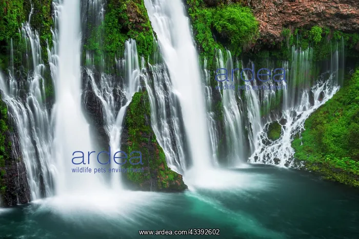 : Burney Falls, McArthur-Burney Falls Memorial State : Burney Falls, McArthur-Burney Falls Memorial State