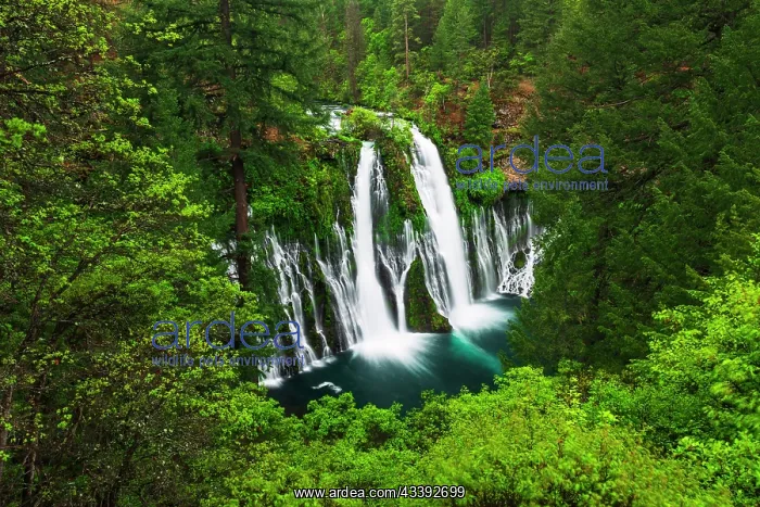 : Burney Falls, McArthur-Burney Falls Memorial State : Burney Falls, McArthur-Burney Falls Memorial State